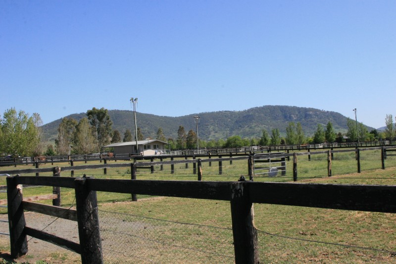 Arrowfield Stud - 007.JPG